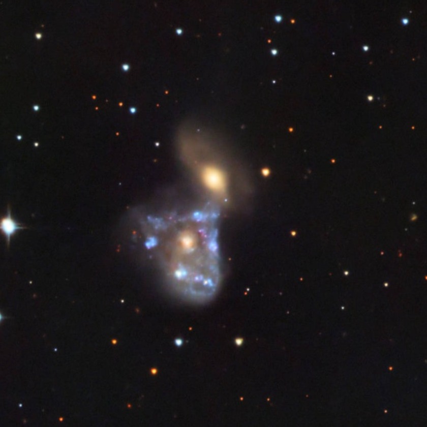 NGC 2445